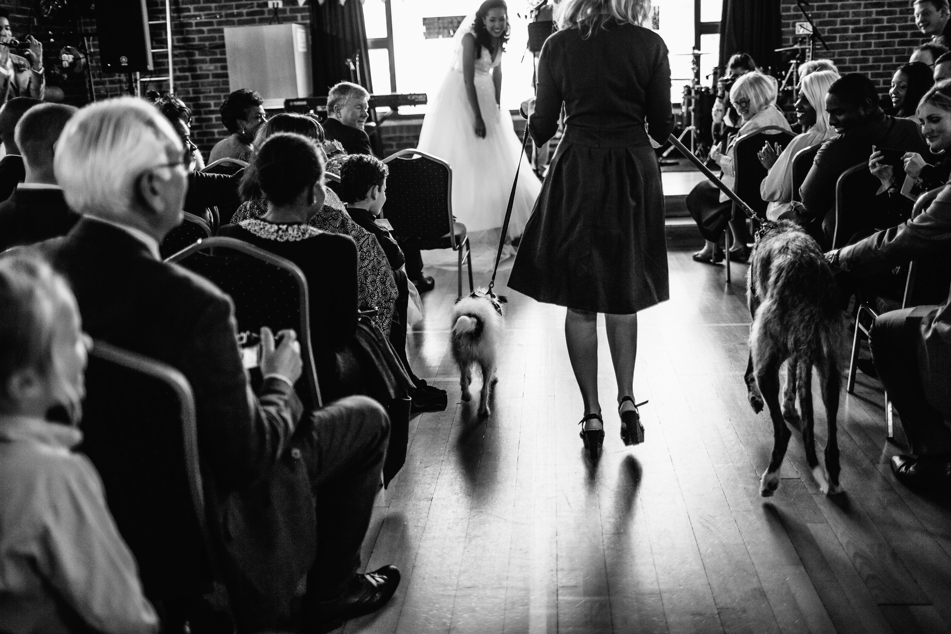autumn wedding in london wedding photographer dog ring bearer