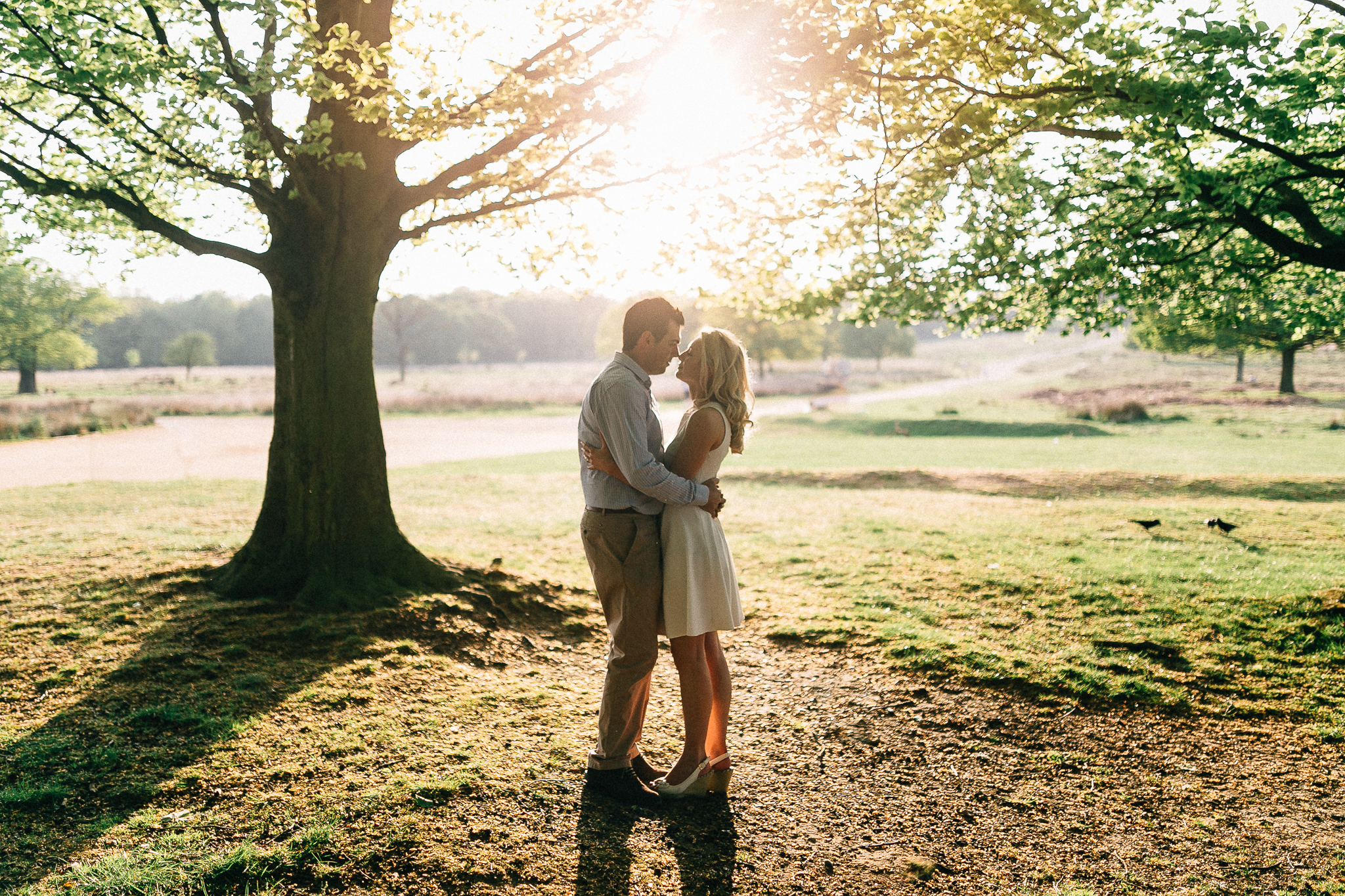sunset engagement shoot at richmond park in the summer