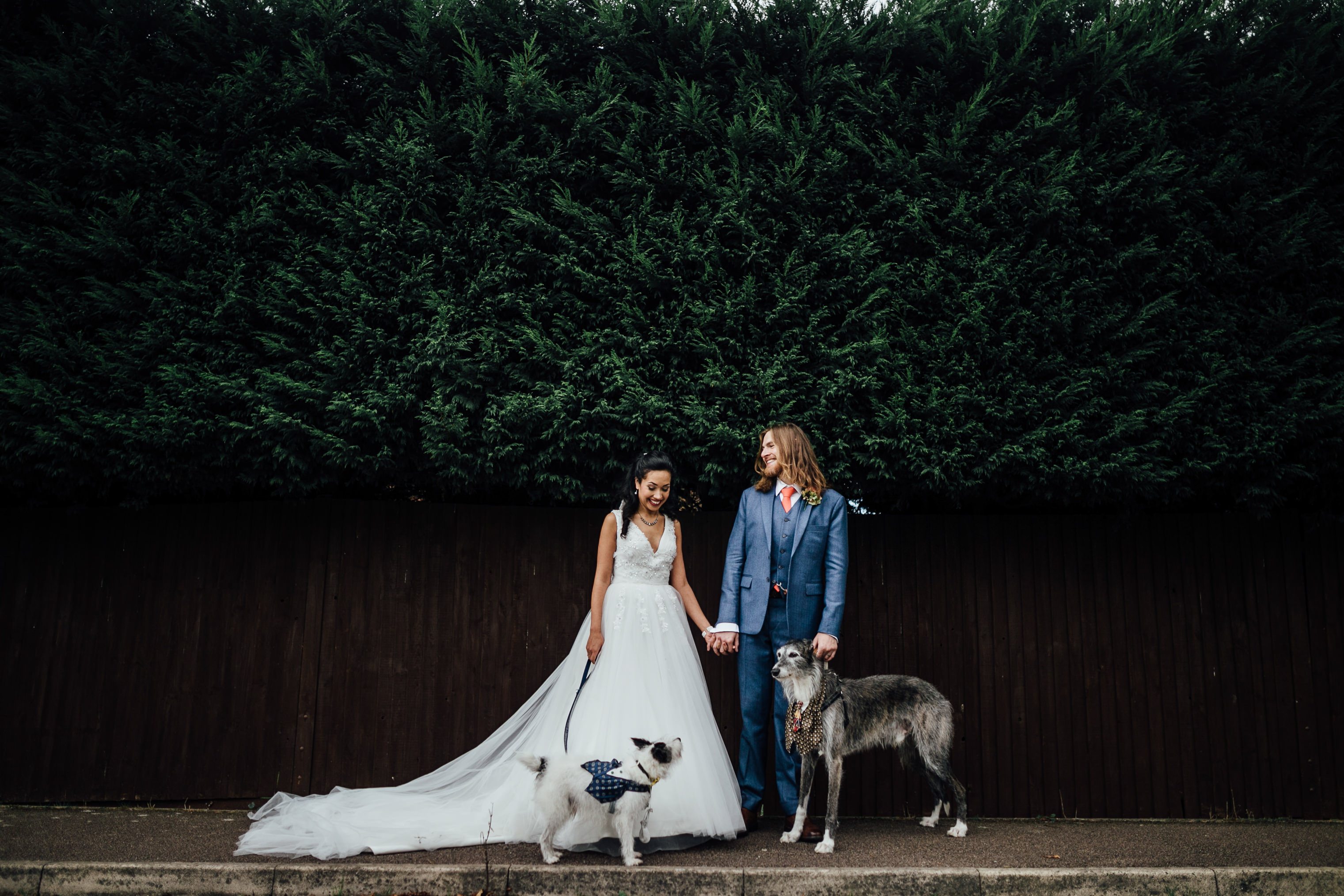 fun wedding photographs autumn wedding london with dogs