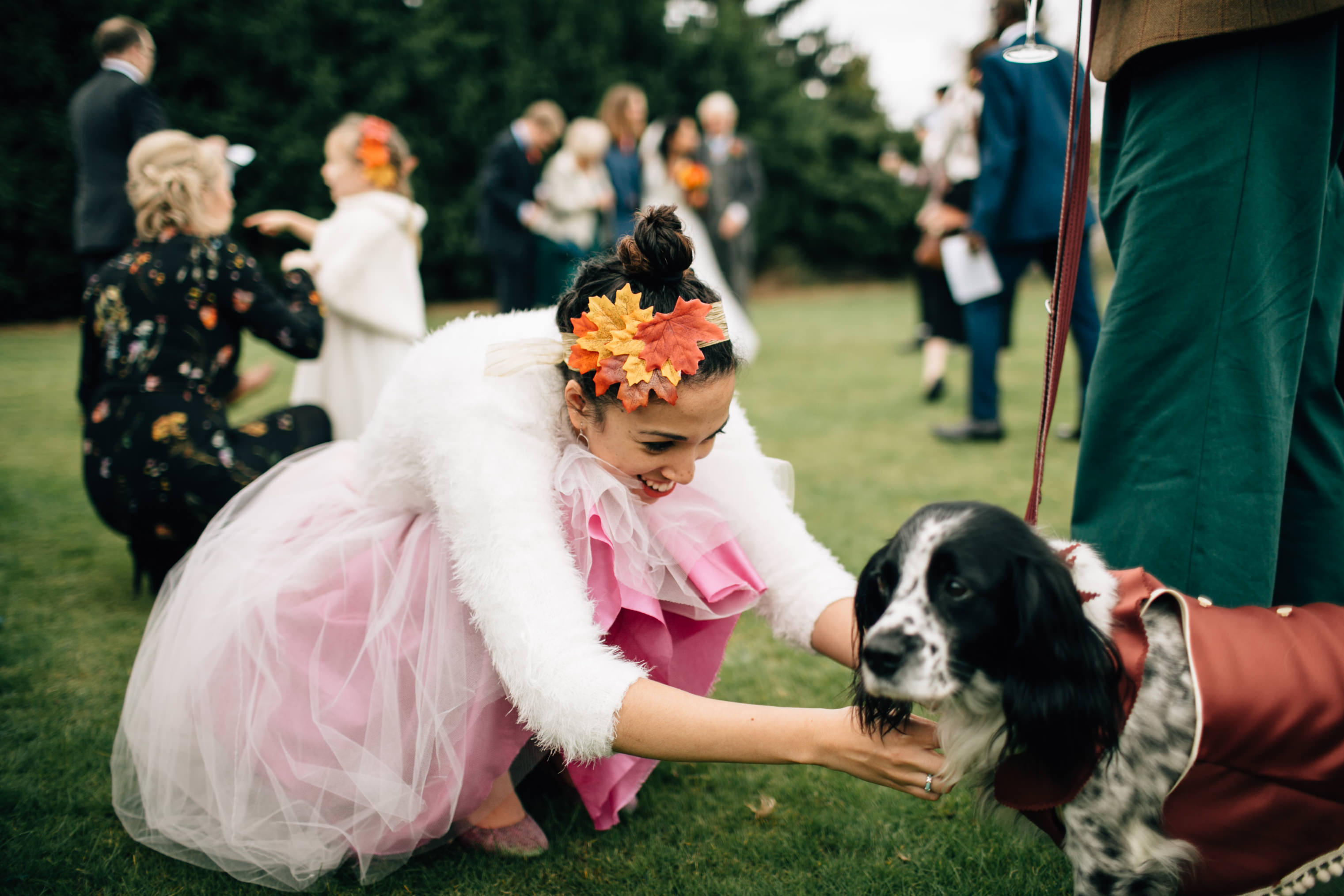 fun wedding photographs autumn wedding london with dogs